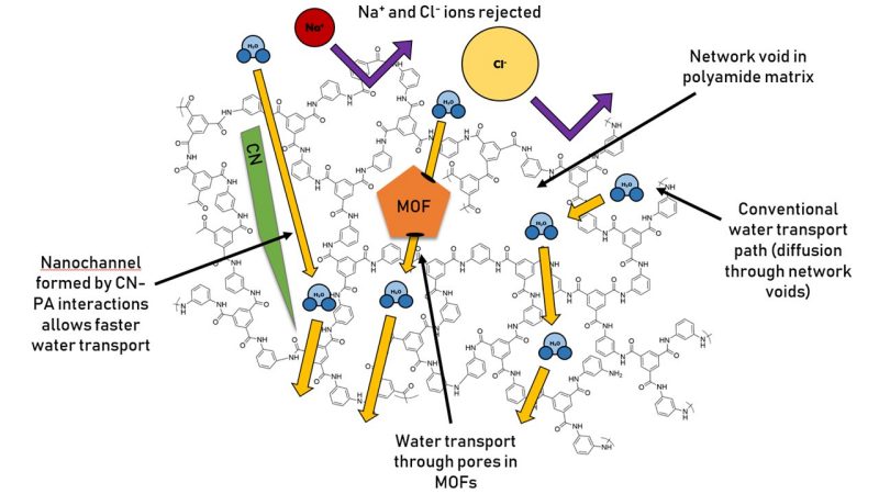 Transport mechanisms in thin film nanocomposite membranes
