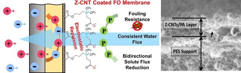 Image of functionalized forward osmosis membrane and thin film nanocomposite membrane.
